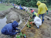 宮城県東松島市奥松島宮戸島にて公園整備　福井の越前水仙も植えました